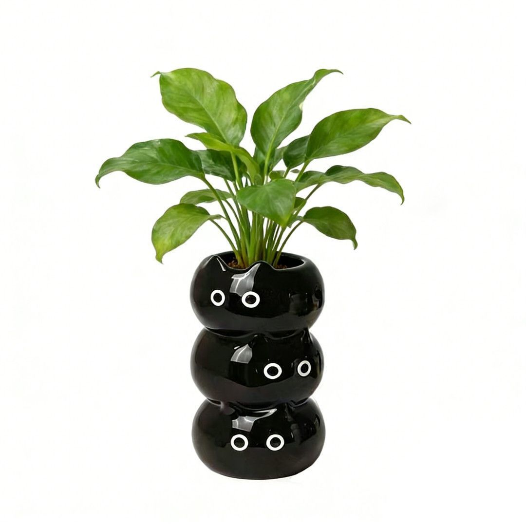 Ceramic Cat Planter
