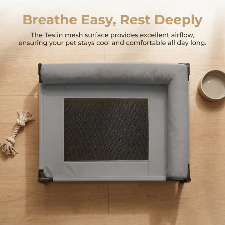 Elevated Airflow Dog Bed