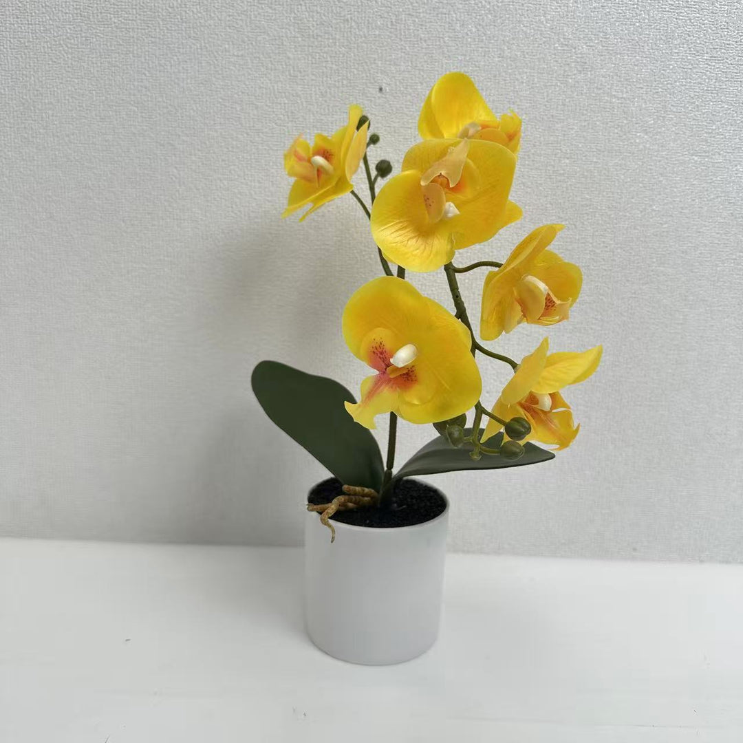 Lifelike Phalaenopsis Orchid Plant Arrangement