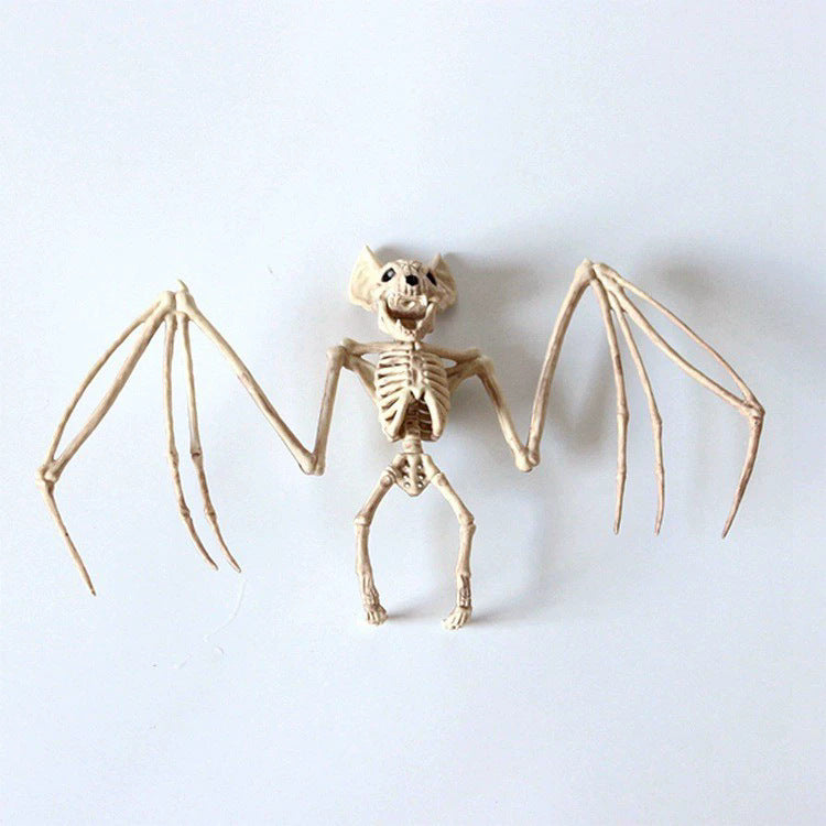 Anatomical skeleton model
