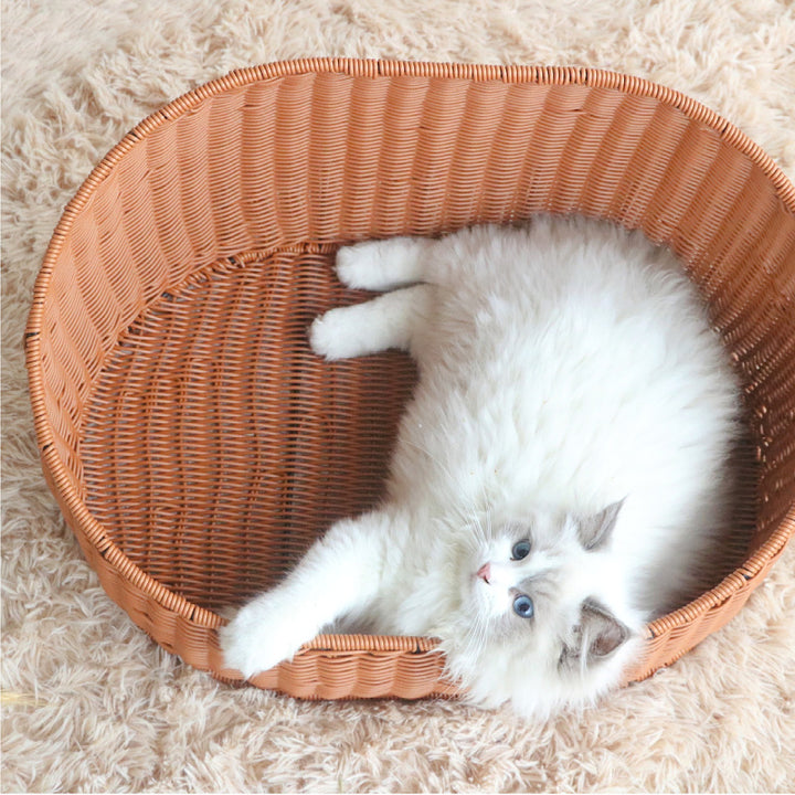 Cat bed Kalsten