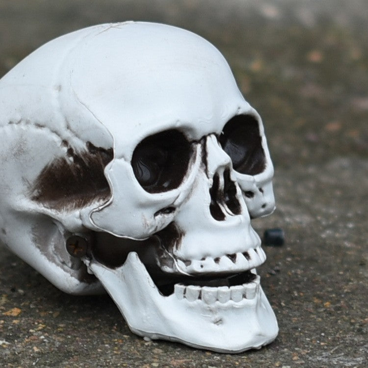 Decorative Skull Phone Stand Kalsten 1790561032