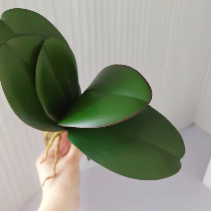 Realistic Orchid Leaf Arrangement