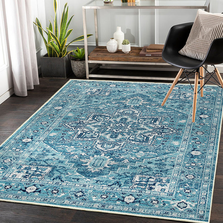 Vintage Bohemian Area Rug Kalsten