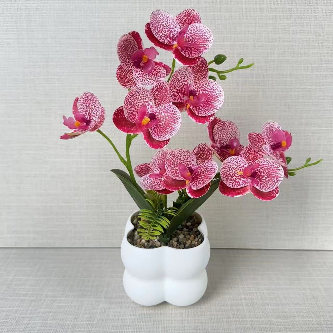 Lifelike Orchid Floral Display