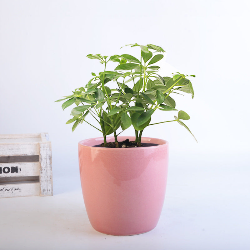 Flower Pot Set Kalsten