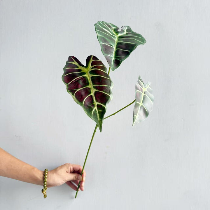 Modern Decorative Plant