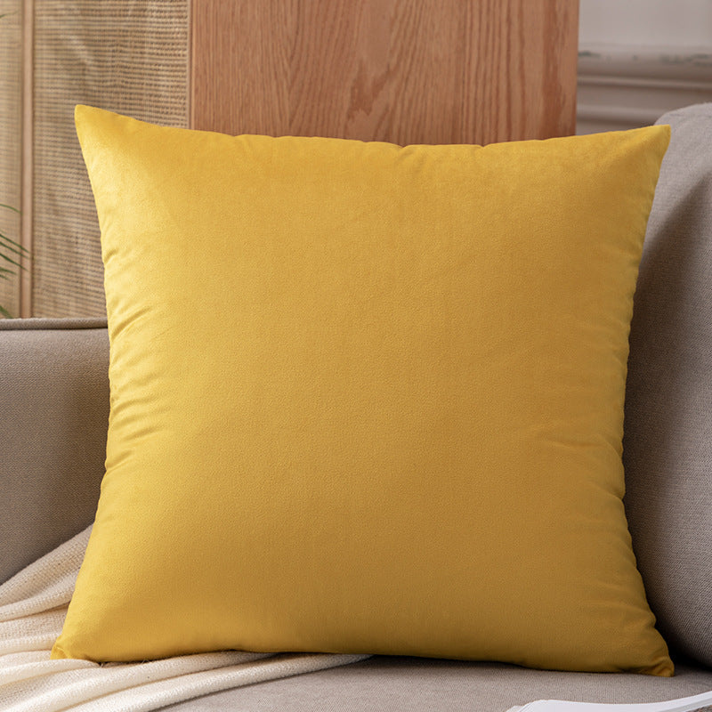 Plush Velvet Decorative Pillow
