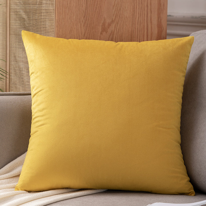 Plush Velvet Decorative Pillow