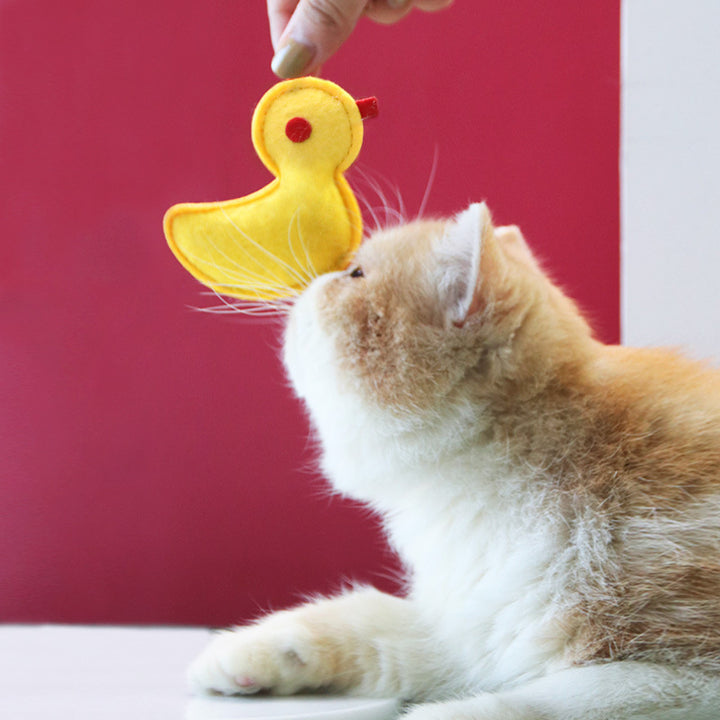Soft Felt Mushroom Toy Kalsten