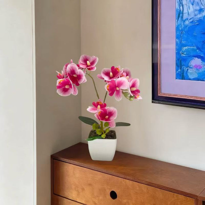 Lifelike Orchid Plant Arrangement for Home Display