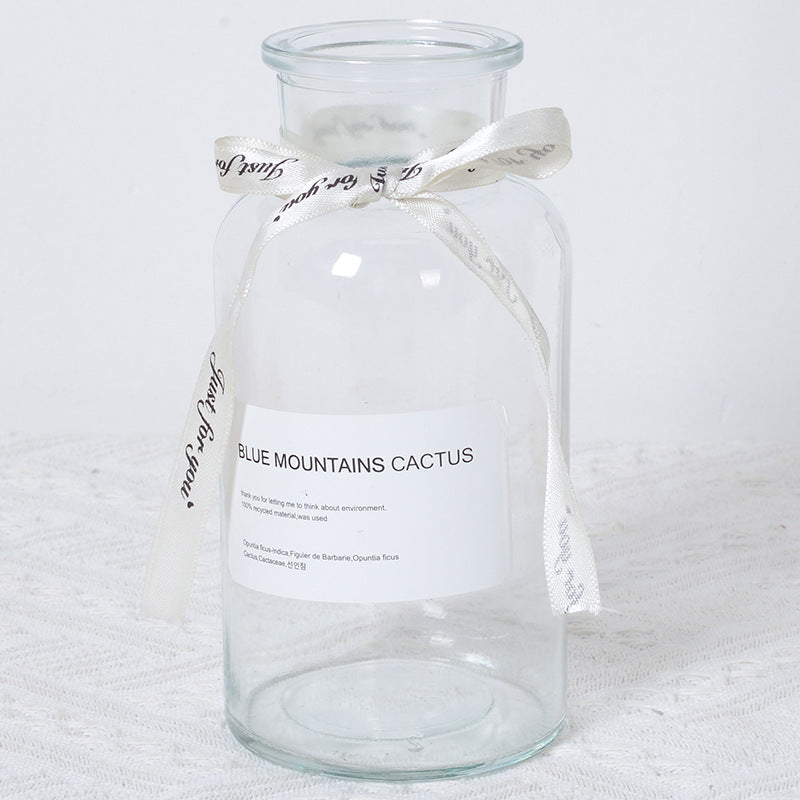 Decorative Eco-friendly Glass Vase