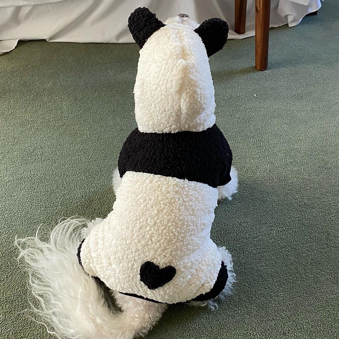 Teddy Sherpa Harness-Compatible Dog Vest with Contrasting Heart Appliqué