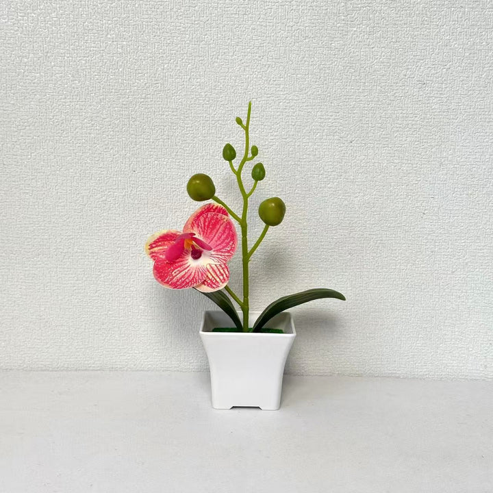 Lifelike Miniature Orchid Plant