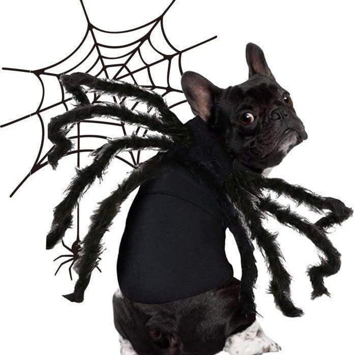 Adjustable pet spider costume with eight plush legs and velcro