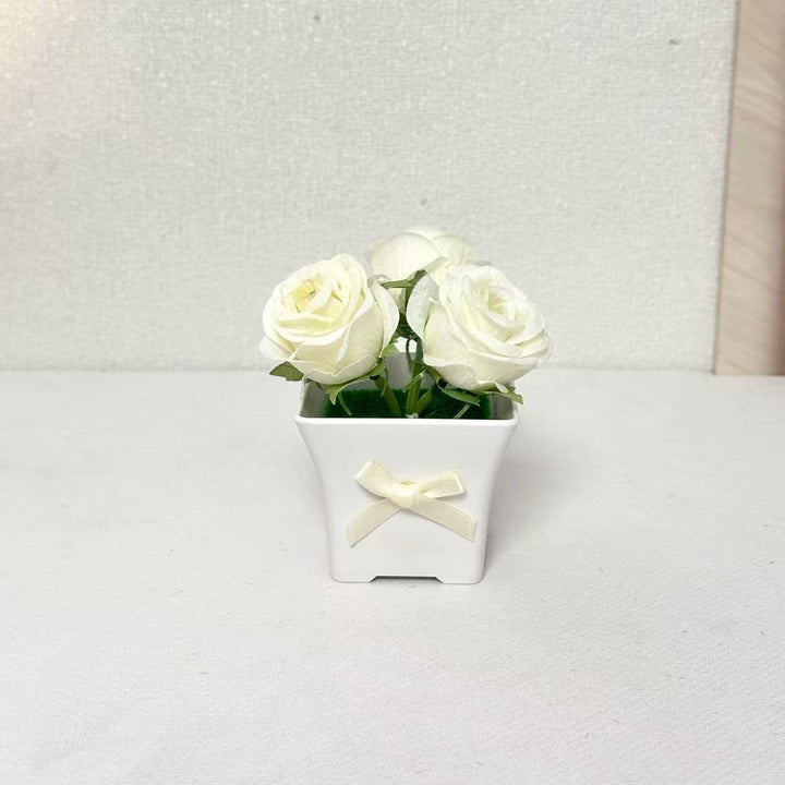 Decorative Rose Plant for Indoor Home Decor