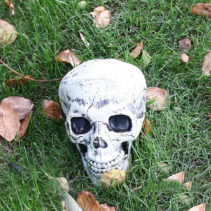 Realistic Decorative Skull Prop Kalsten