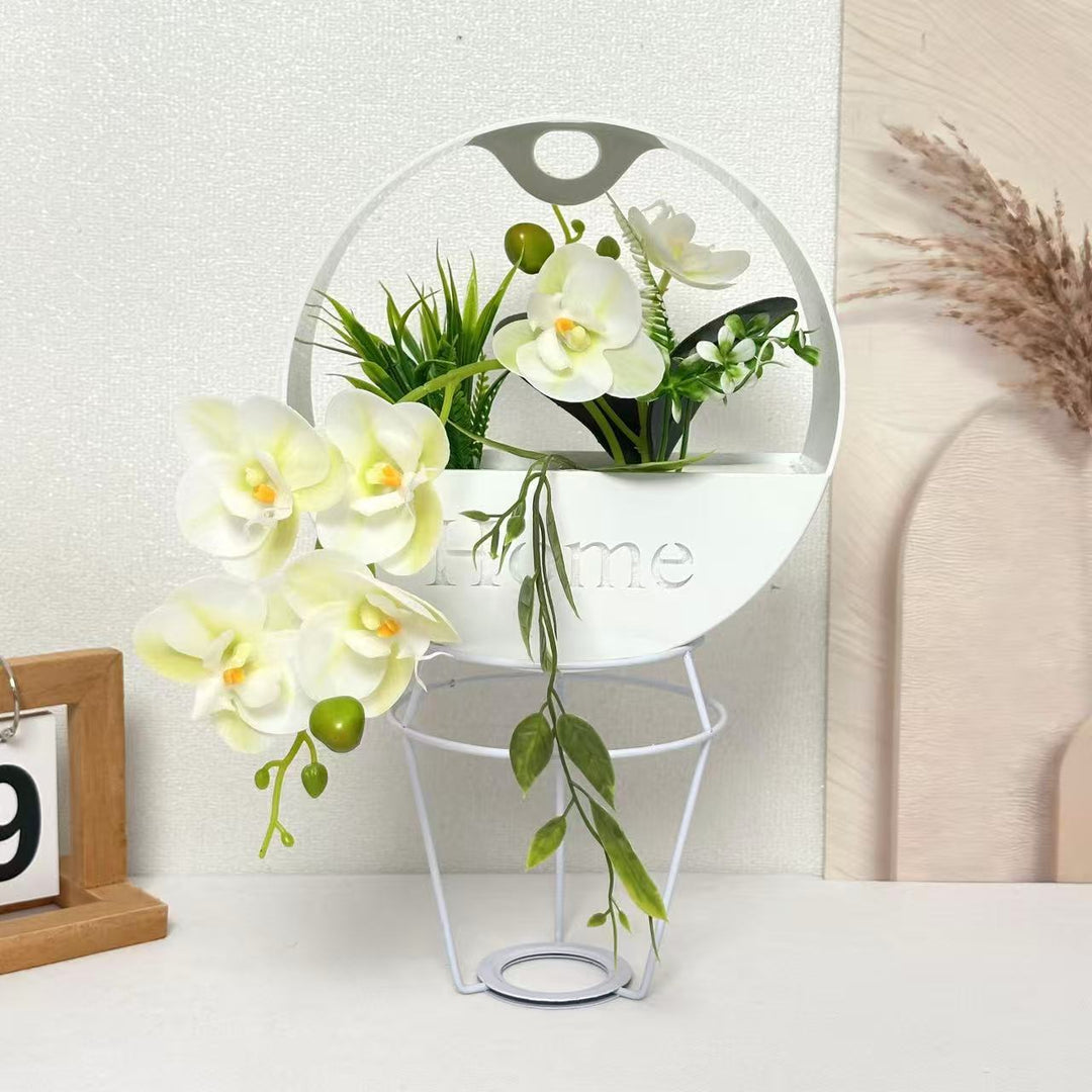 Decorative Indoor Plant Arrangement