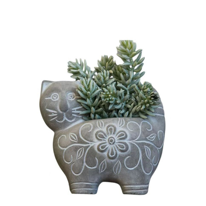 Decorative Plant Kalsten