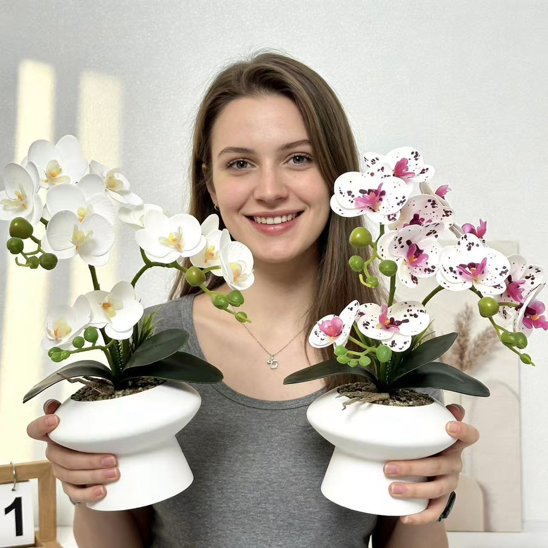 Decorative Orchid Flower Arrangement for Home Display