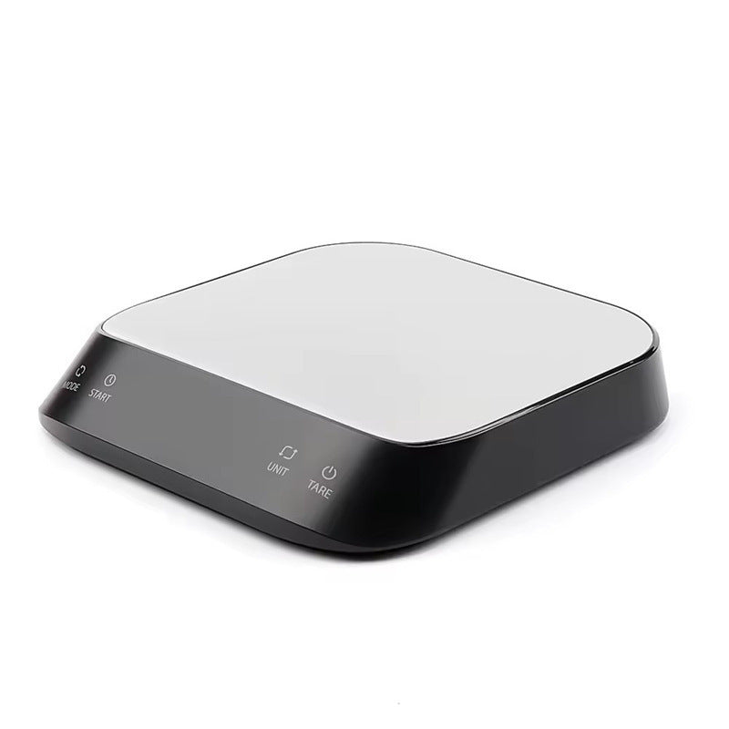 Precision Digital Scale