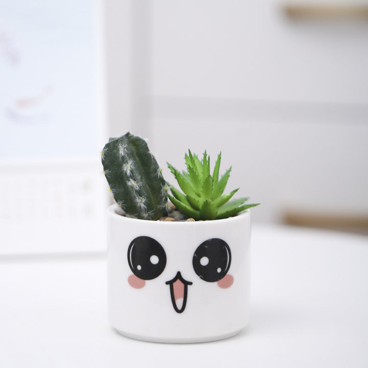 Cute Animal-Themed Succulent Planter Kalsten