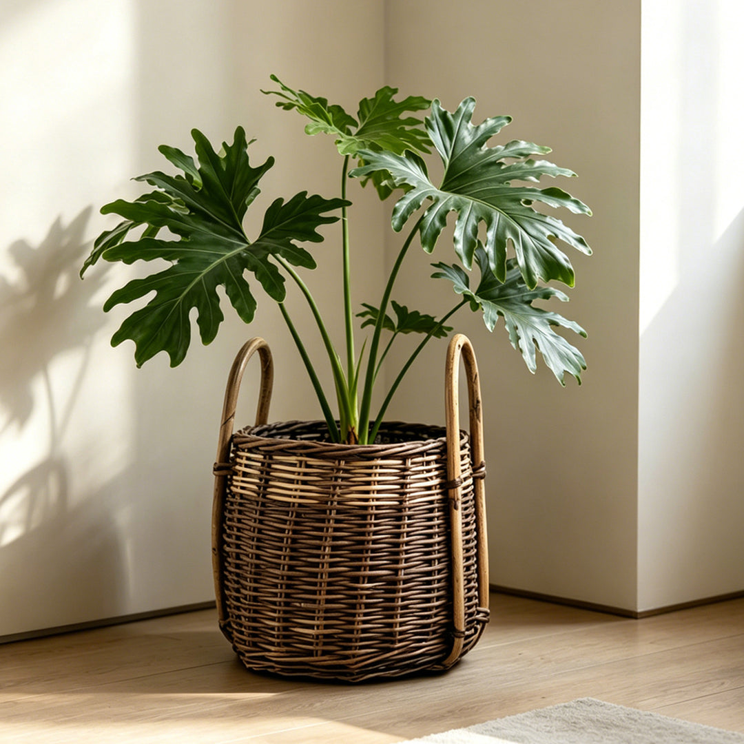 Natural woven storage basket Kalsten