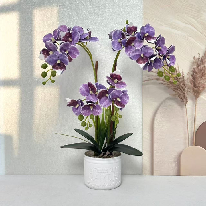 Decorative Potted Orchid Arrangement for Tabletop Decor