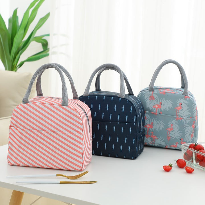 Stylish Insulated Lunch Carryall