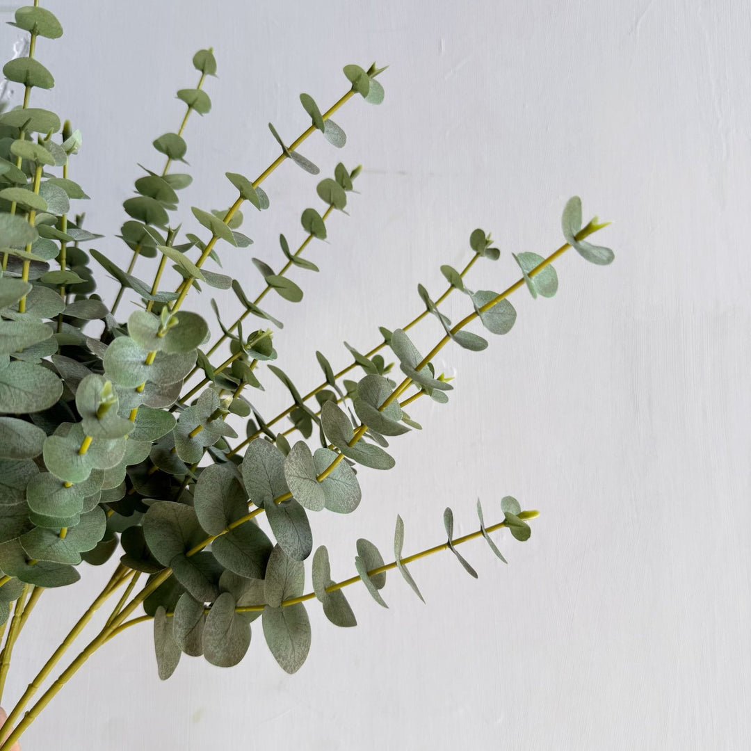 Premium Eucalyptus Stem