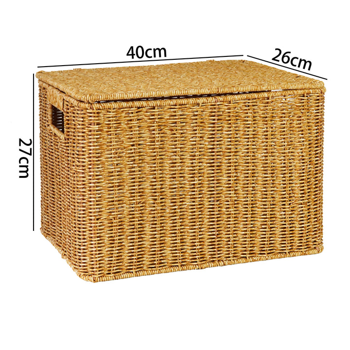 Handwoven Wicker Storage Chest Kalsten