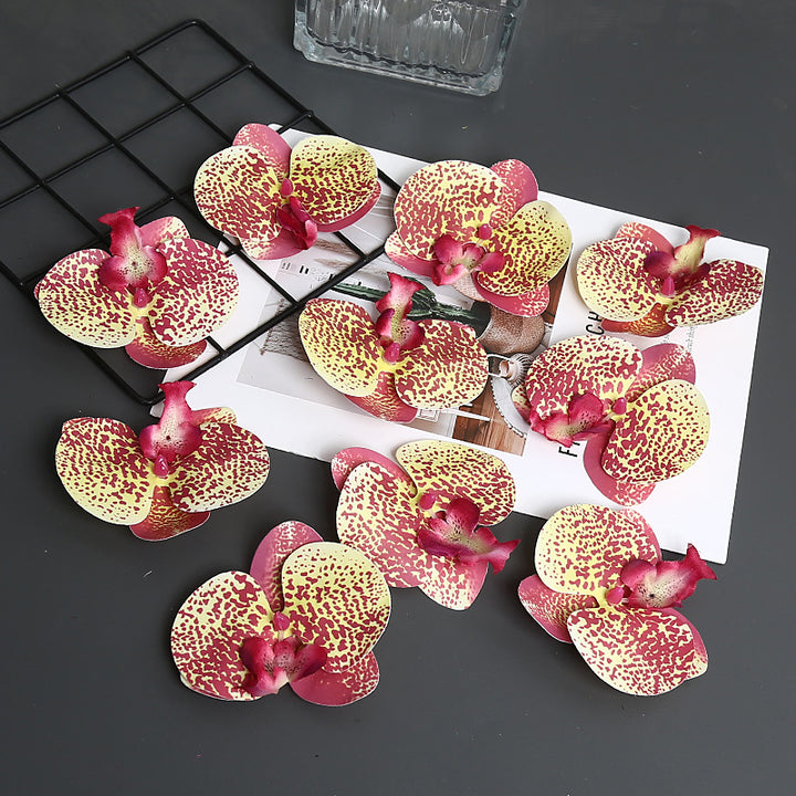 Decorative Orchid Petal for Home Decor Display