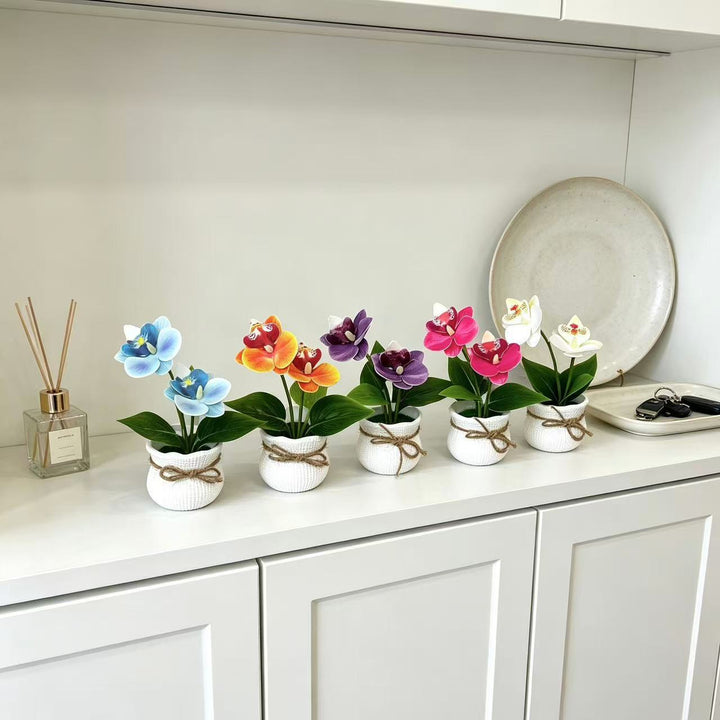 Decorative Potted Orchid Arrangement for Indoor Display