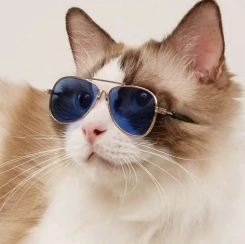 Aviator Style Kalsten Sunglasses