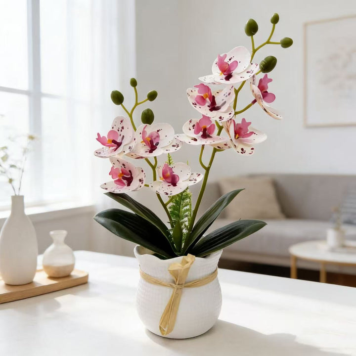 Realistic Decorative Orchid Plant