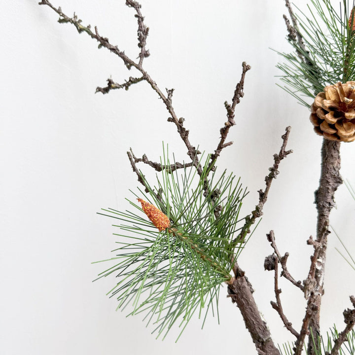 Decorative Pinecone Arrangement