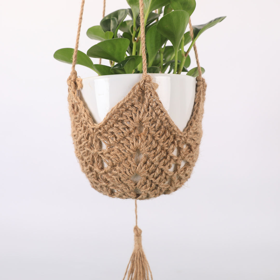 Stylish Macramé Plant Hanger