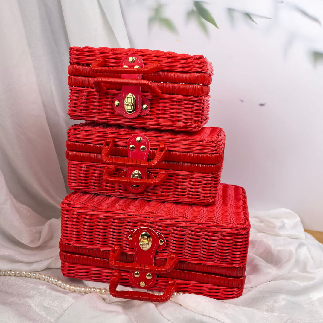 Women braided cosmetic and storage case Kalsten