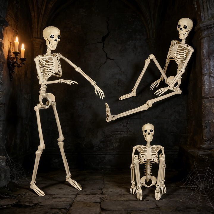 Decorative Skeleton Kalsten