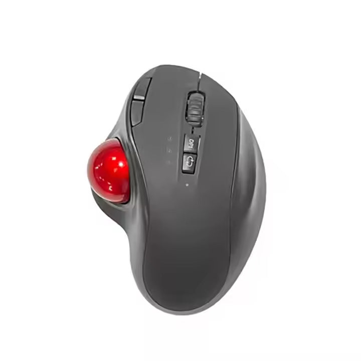 Ergonomic Trackball Mouse Kalsten
