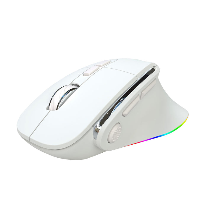 Wireless Ergonomic Gaming Mouse Kalsten