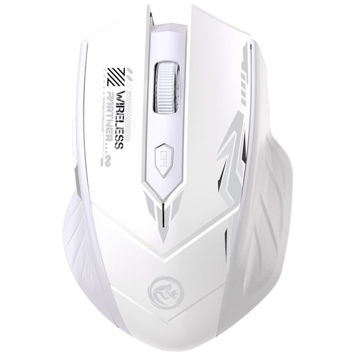 Advanced Wireless Gaming Mouse Kalsten