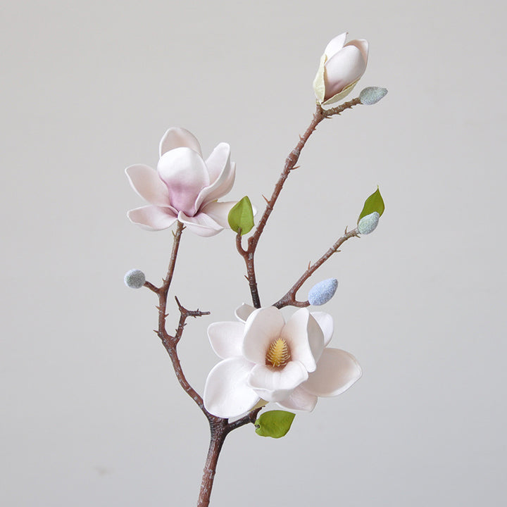 Magnificent Silk Magnolia Flower Stem