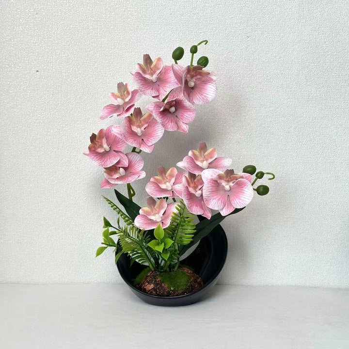 Lifelike Orchid Flower Display