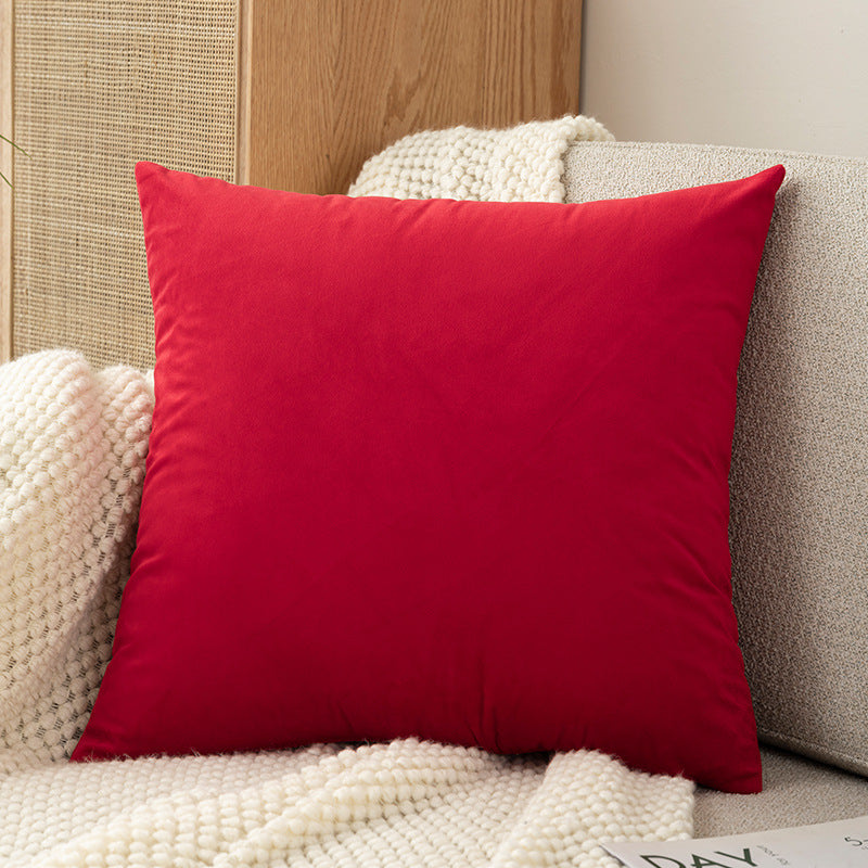 Plush Velvet Decorative Pillow