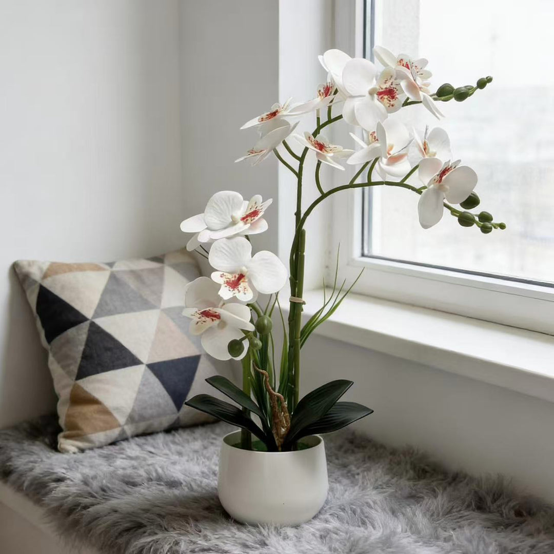 Exquisite Artificial Orchid Display