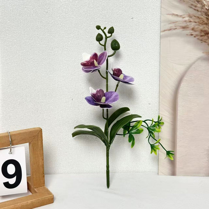 Elegant Orchids Floral Arrangement