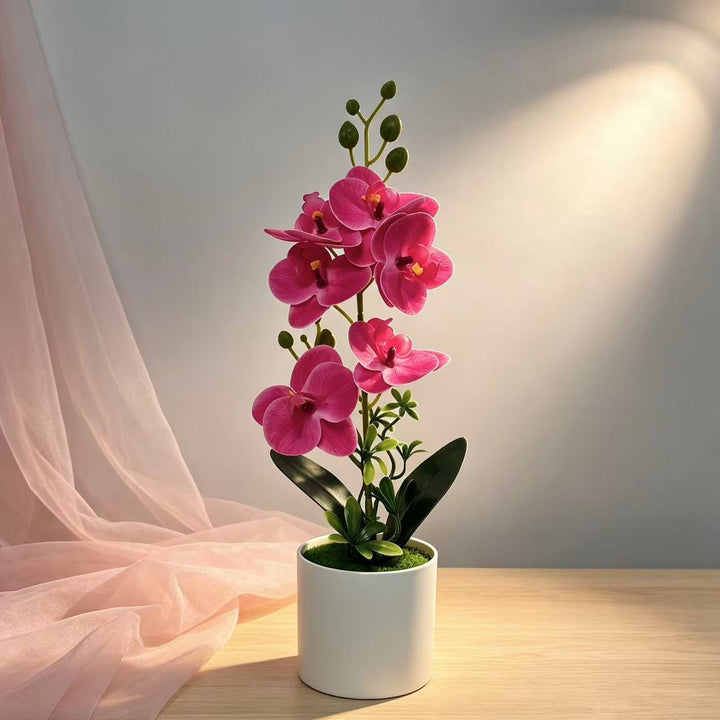 Elegant Orchid Floral Centerpiece