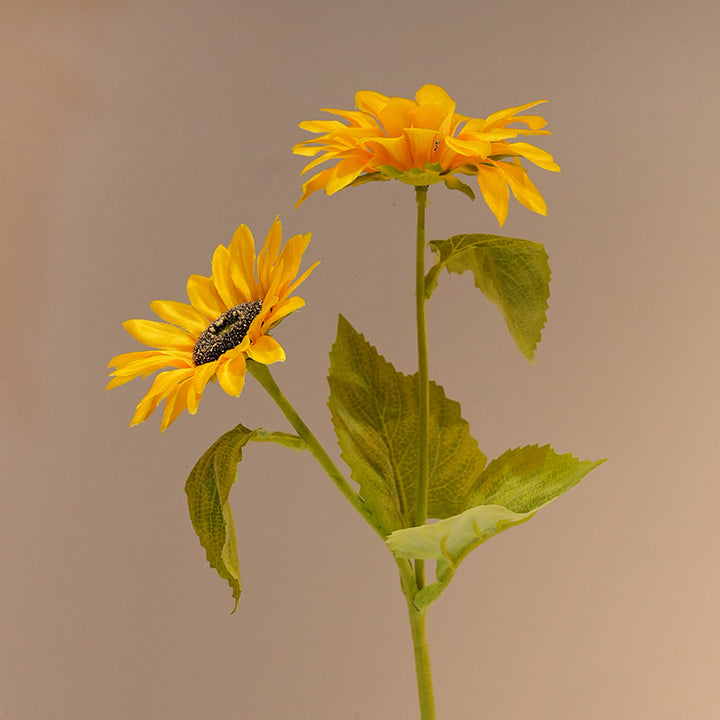 Decorative Sunflower Kalsten