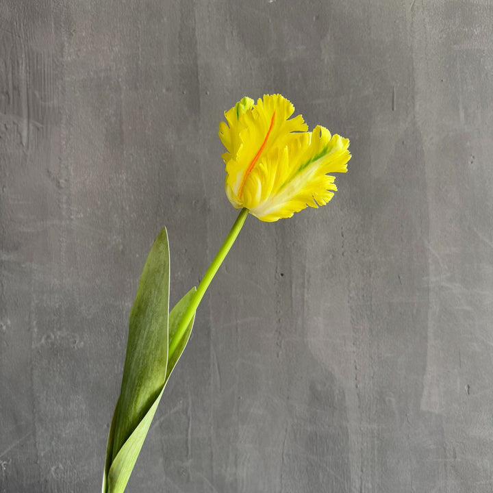 Lifelike Floral Accent
